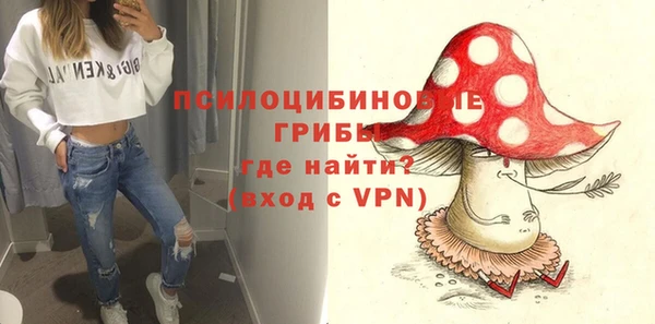 a pvp Костерёво