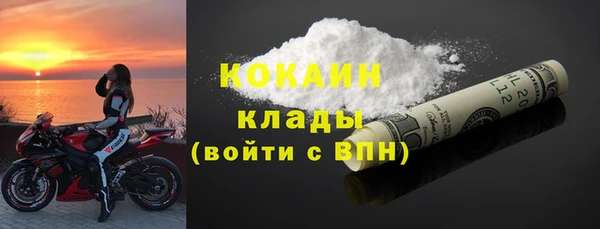 гидра Коряжма
