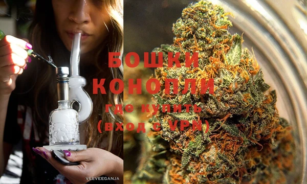 гидра Коряжма