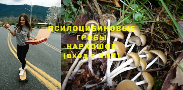 a pvp Костерёво