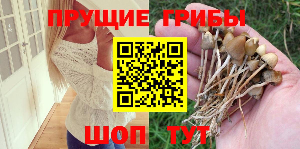 Салават  Псилоцибиновые грибы Psilocybine cubensis  Псилоцибиновые грибы мицелий  Вход с VPN 